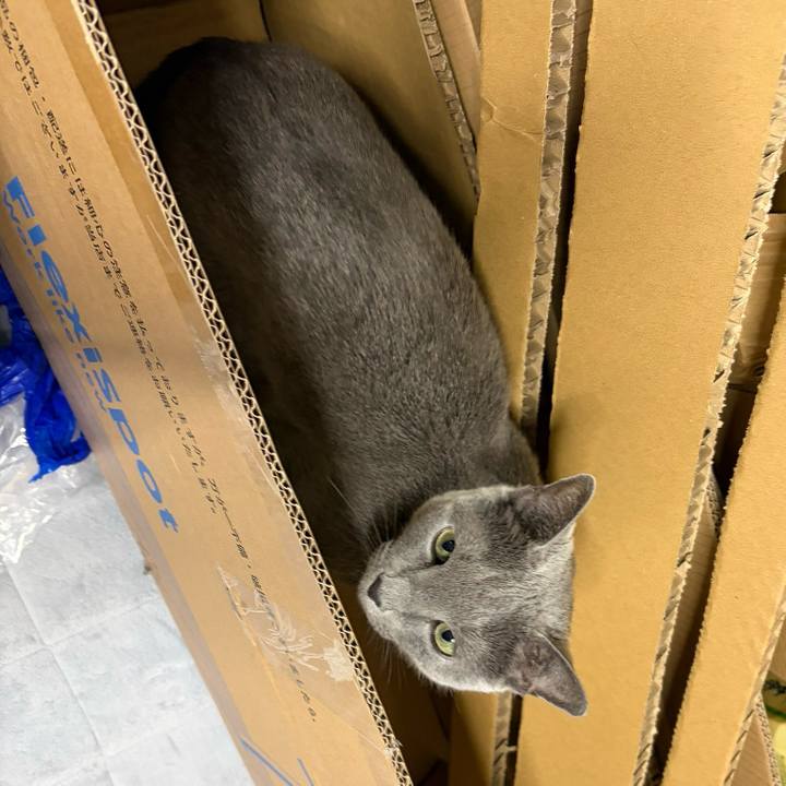 Be1a2ea4 fdc5 42ee b531 04a02650654a 1764541834803