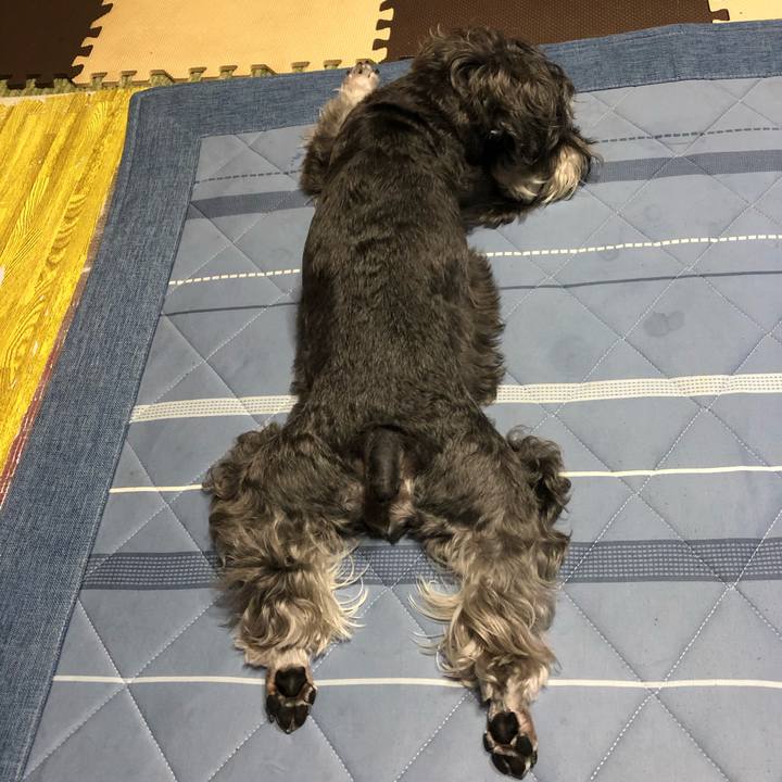 Be1a3ab7 fd66 4392 adb5 458d3cd3a16d 1694004767606