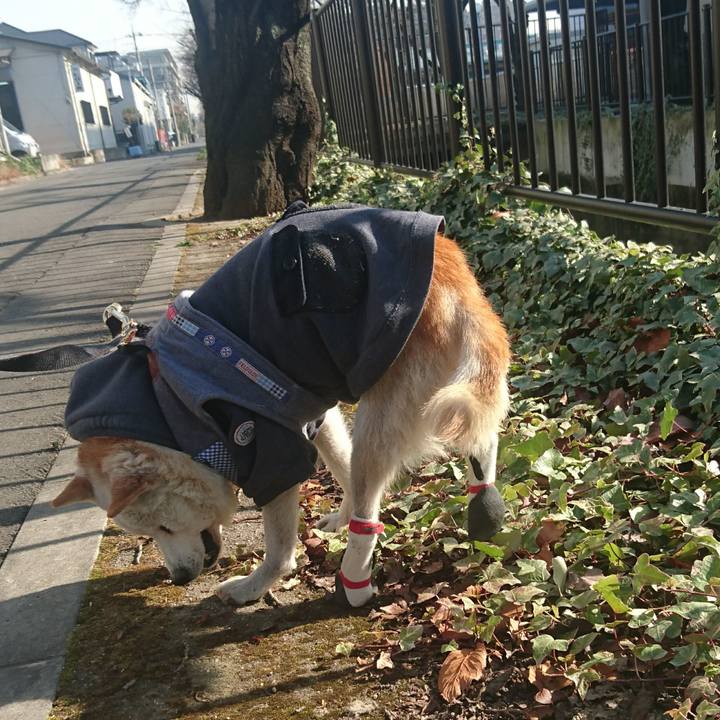 Be1a3e36 17ec 44d6 86db fa5df66d825a 1513393392156