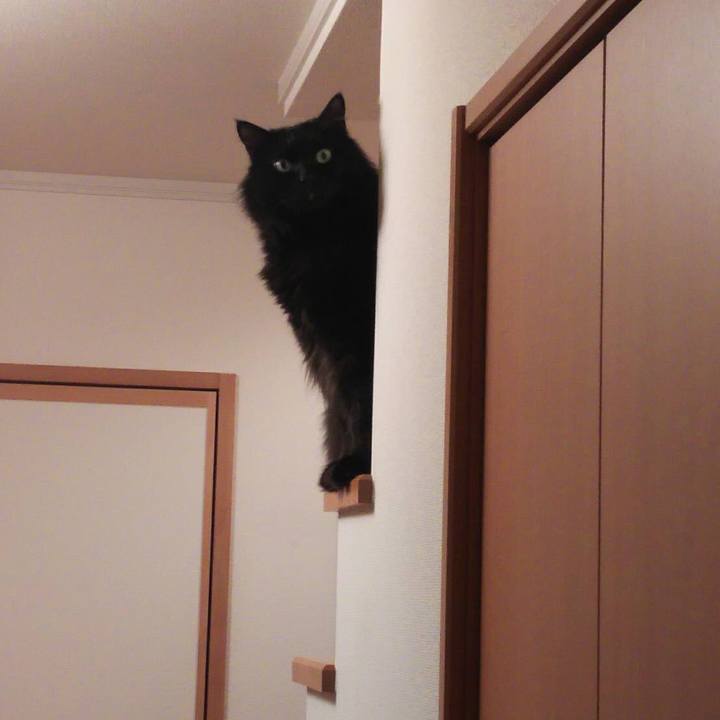 Be1a46b7 0523 46ae acf9 e39d8b5c6d5a 1517227677557