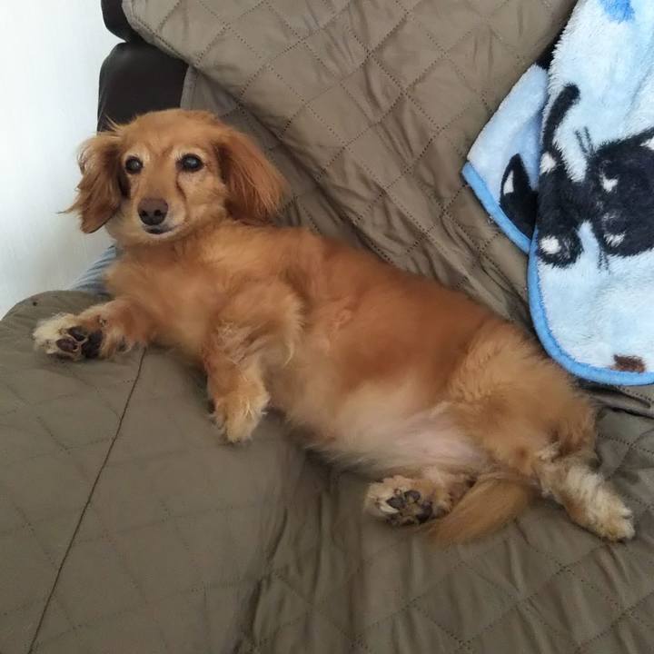 Be1a6800 7e6e 4342 ad36 783263263e05 1628060771913