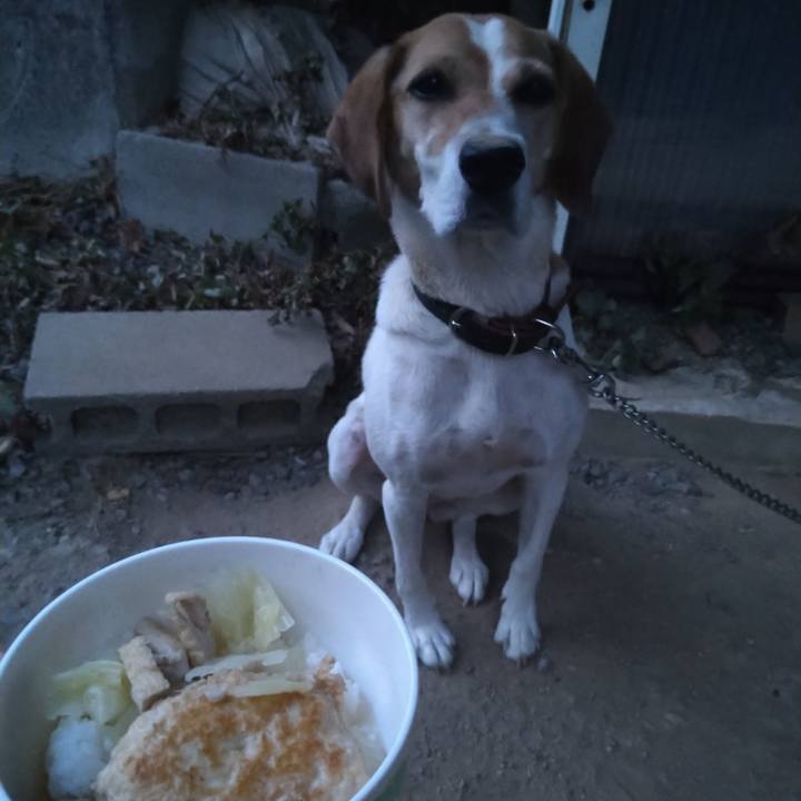 Be1ae73a 9c4f 4d0d 8052 04bc7206efa6 1660125653865