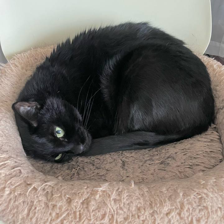 Be1ae8fc 88e7 46de a211 825bbccf2fcb 1707825724717