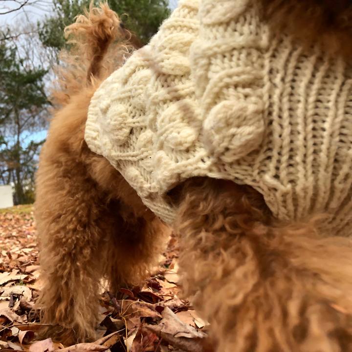 Be1b1aaa 1aa4 4231 9c0c 8cab351e2d5a 1543989819594