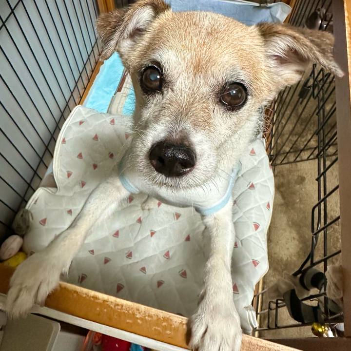 Be1b1e57 b6c9 4452 81d0 1ad92dbe96b9 1695204007253