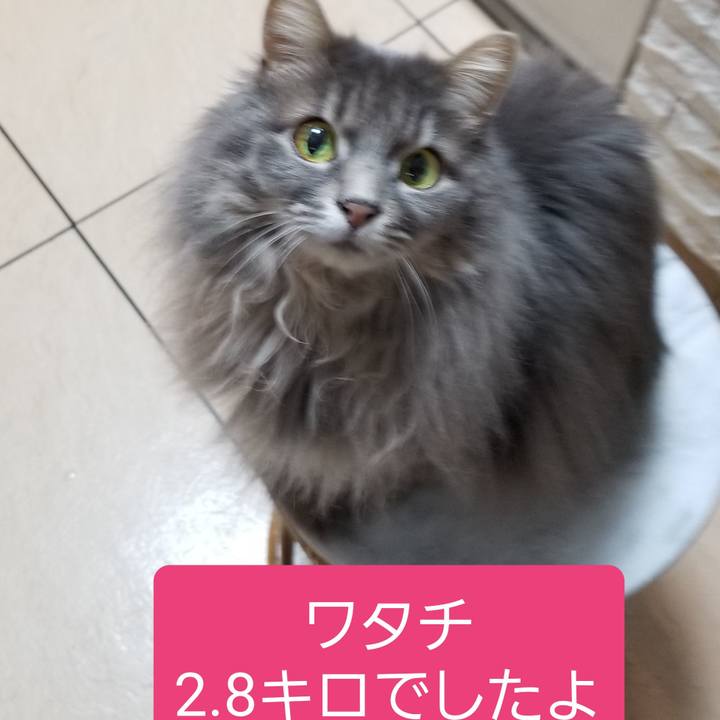 Be1b3d23 cb1c 466b adf6 9c402e4522e2 1588380520336