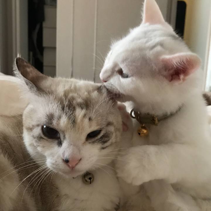 Be1b5b01 26d4 49c8 8559 85d9c35220f5 1509367384351