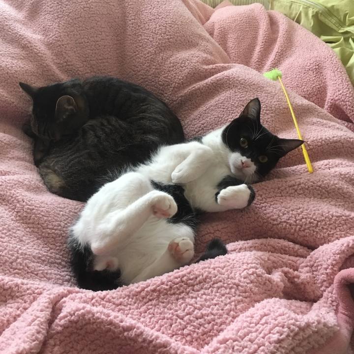 Be1b6bc0 7551 4bcb ad13 92d7c45cab56 1521707488781