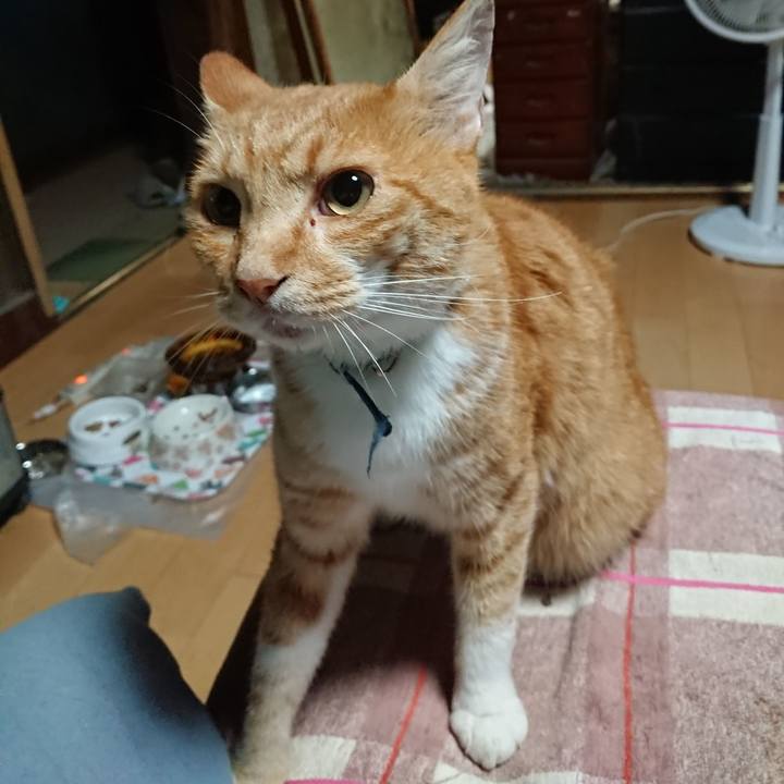 Be1b7dbb e4ef 4ad1 881d 99649c15fd34 1598387157975