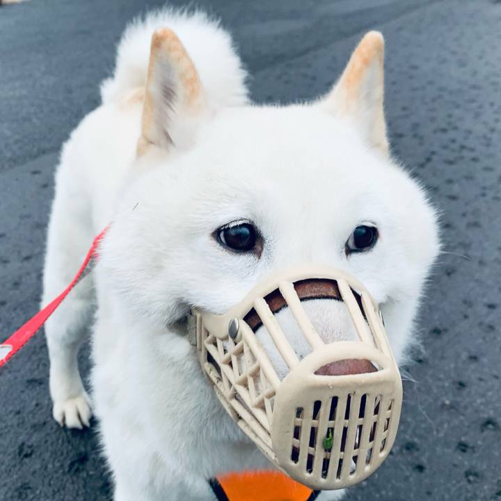 Be1b87e5 df28 45b2 80b2 7fbdb2f23911 1618608793906