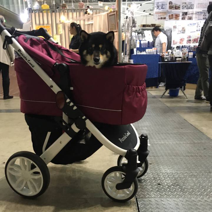 Be1bf933 b049 4475 9fa5 966e4c5767c7 1556869836648