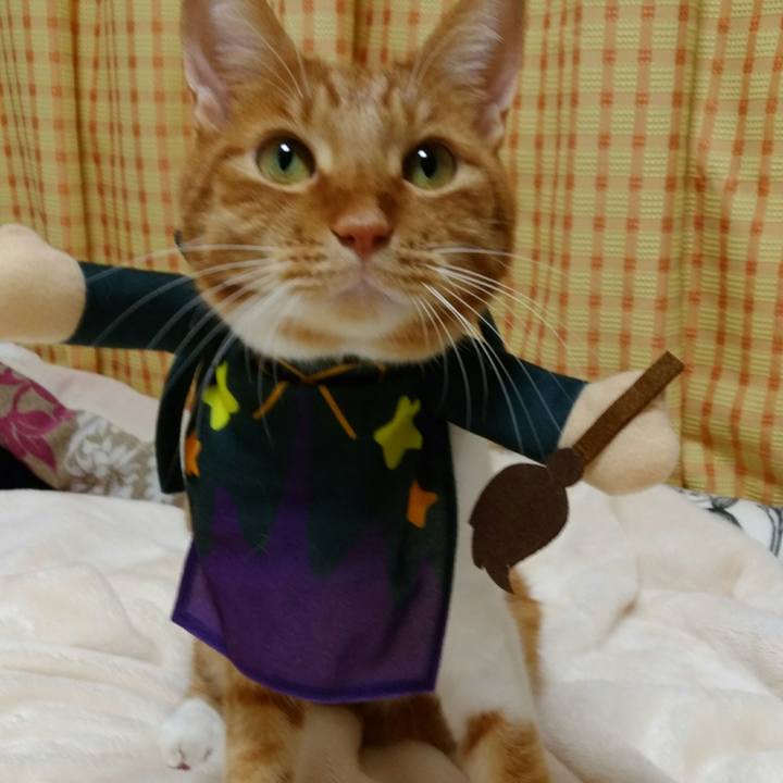 Be1c2127 d6b7 4640 8d87 30520fd19ae4 1572505466845