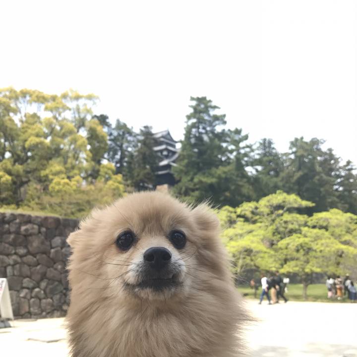 Be1c2265 fcc2 4c13 bb37 0e959b0bfe32 1564890738635