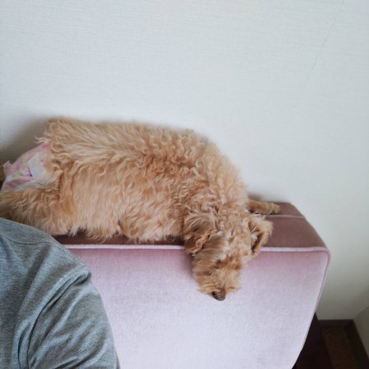 Be1c3199 b0f6 40a7 808f 7cc05eb2cf81 1596178108794