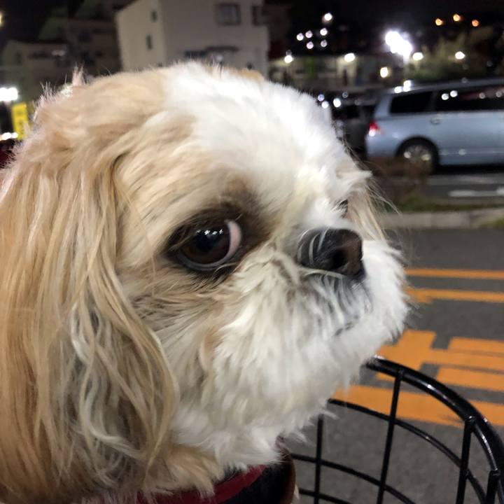 Be1c6241 4e54 43e2 9478 487ecf9e9a85 1544233905021