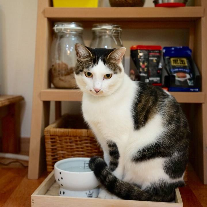 Be1c9dee d45e 4e4b 8b14 706e47469ea9 1509455679463