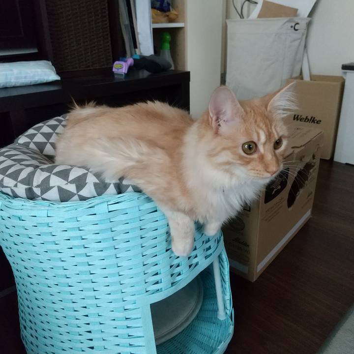 Be1cc7e5 6532 4b43 8101 f20b5a2e6064 1621148657706