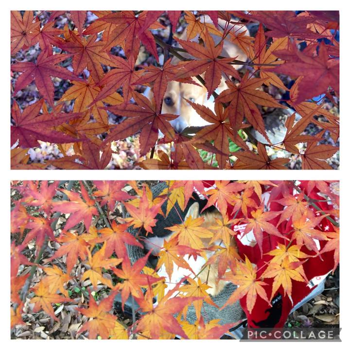 Be1ce3b4 3385 40b4 affe d3f2a0511a3c 1638233423443