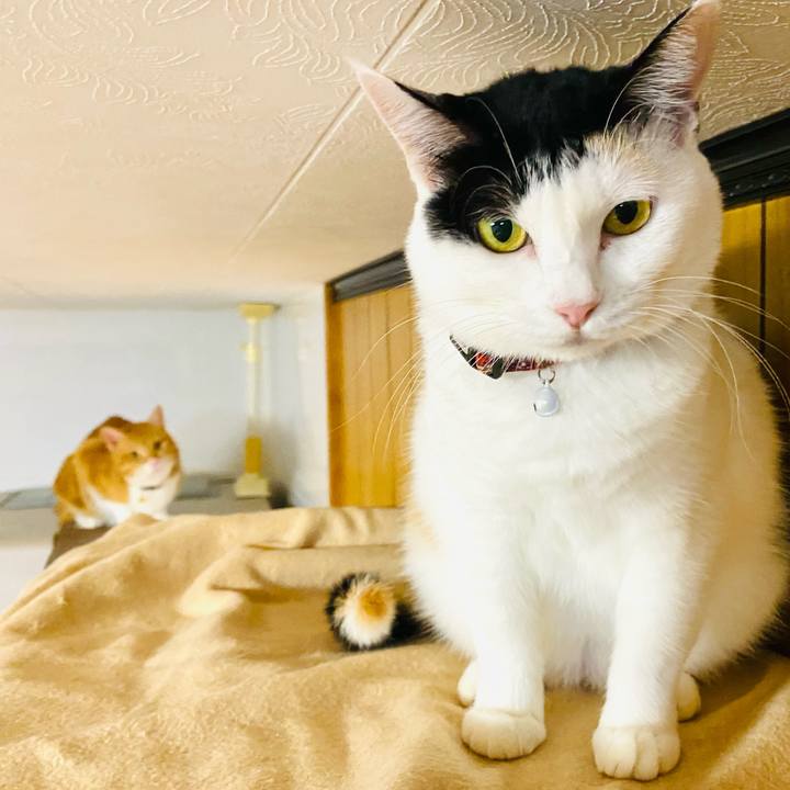 Be1ce542 0949 4fcc a419 9c596b875099 1666613922621