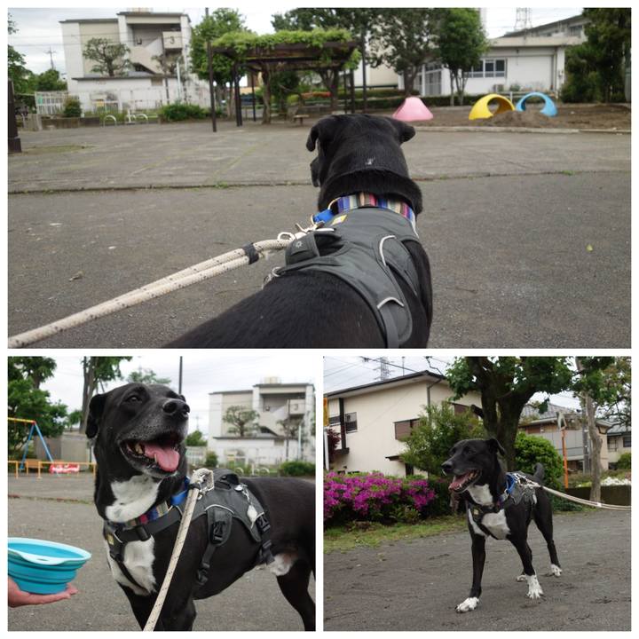 Be1d0d00 8117 4f2d 975d e49f6032cc09 1651453180904