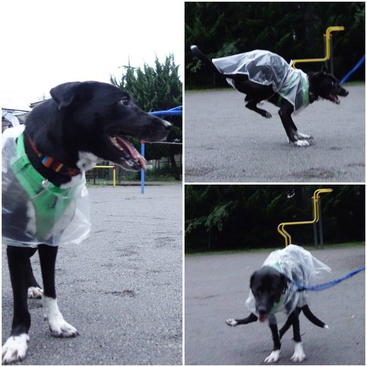 Be1d46b4 8017 40a0 9c88 8586417c8386 1595499727794