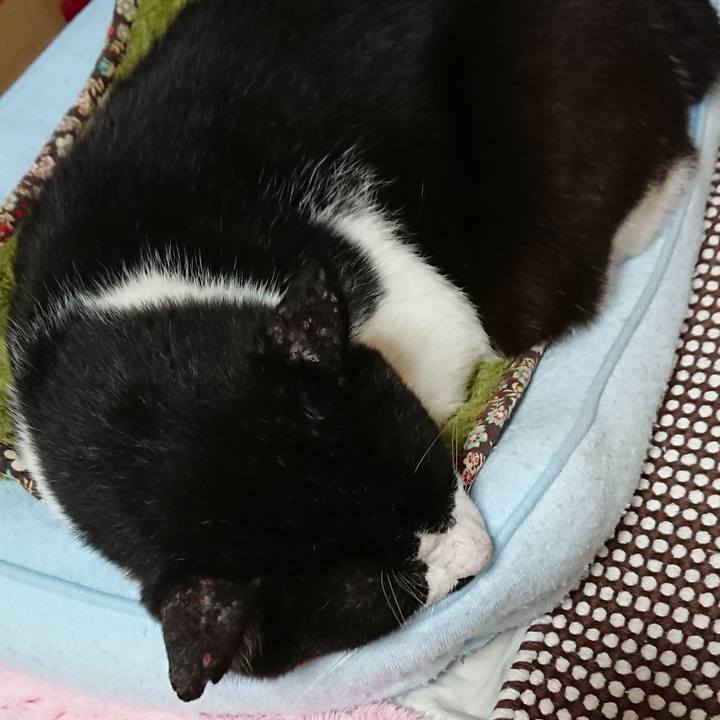 Be1d8da8 b65a 47d1 80fa 0c3da39519f7 1538432074491