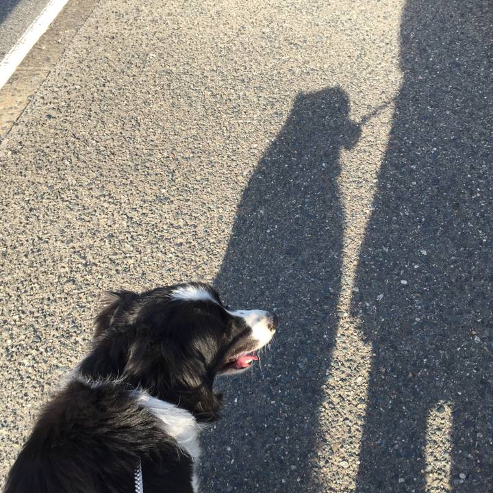 Be1da9d5 8add 4a81 90f0 5899c796d46e 1523573007143