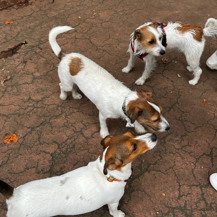 Be1db697 fca5 4f15 a3f6 84cc34dc842c 1730019235047