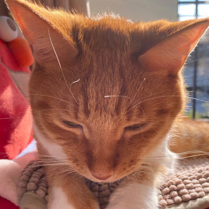 Be1dcc36 67fc 48c8 96d3 87b29daa03b2 1609559538476