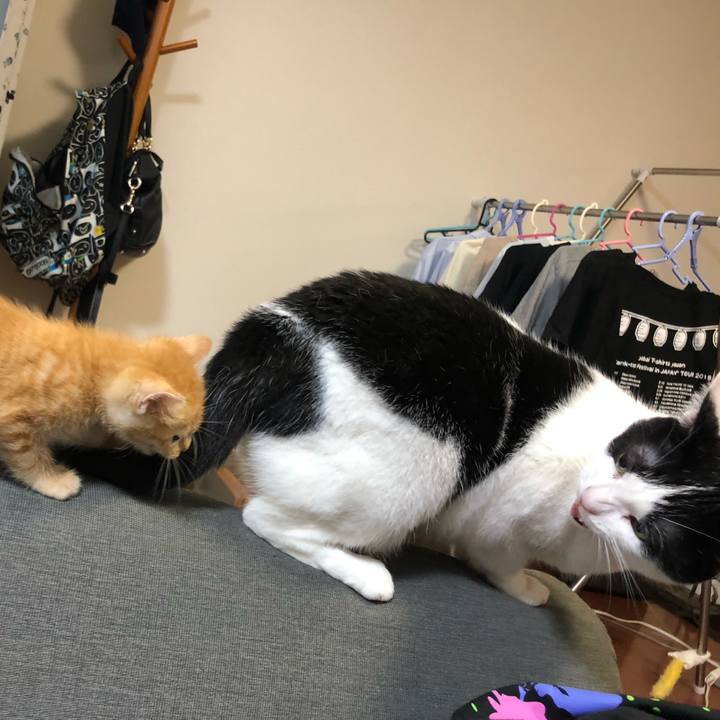 Be1dcf2d 0491 4852 82e4 bd3129dba90f 1561211853772