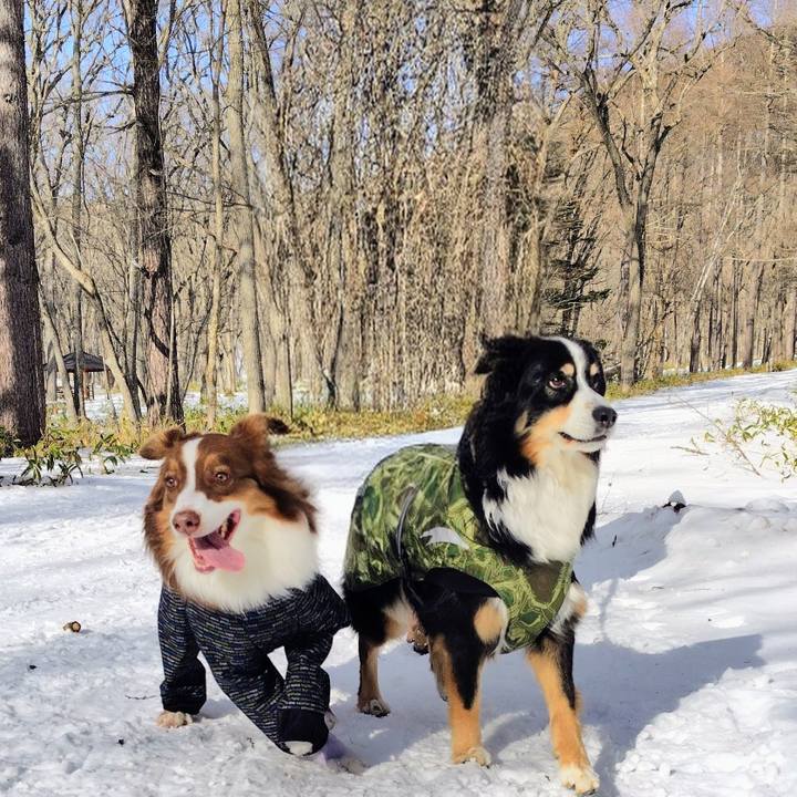 Be1dd311 7d73 4f3b 8b11 49f0533c257e 1768216119872