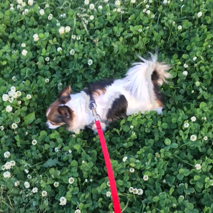 Be1dd7fd 71f4 40f9 9fae 2472d71061e2 1558257833576