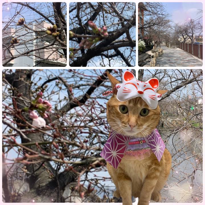 Be1dd977 4b18 4c9a 8980 0a516090f2b6 1615781602468