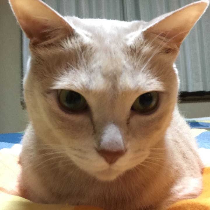 Be1ddf99 8dfa 4c93 826d 8a86e9d137de 1578234543149