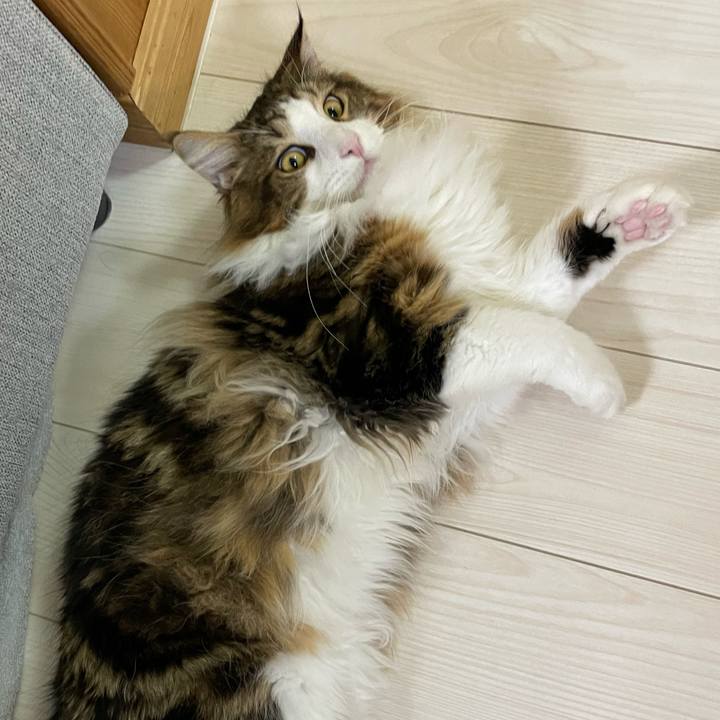 Be1e2418 7aa6 4a53 b529 2a6c7e85d337 1646816835545