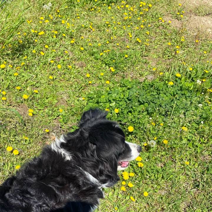 Be1e4880 23cf 4af1 b749 2b94e34d03ad 1650159729499