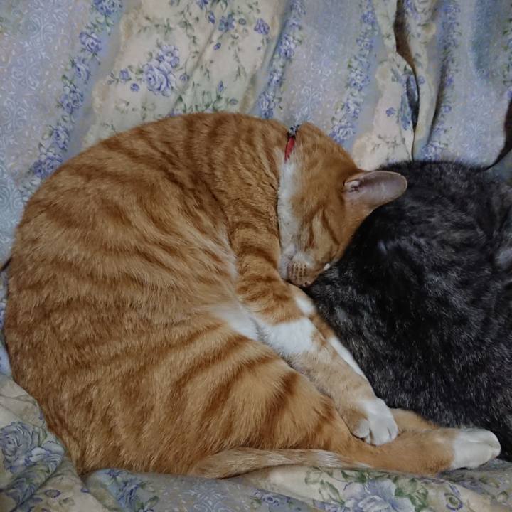 Be1e912e ca03 47e4 9fed ae3e80119920 1573216732535