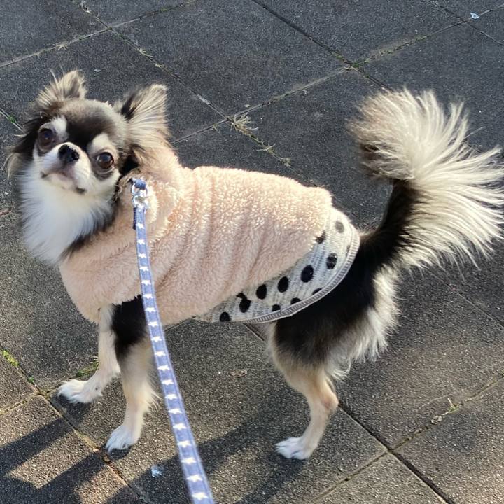 Be1e9ea3 feb8 4ec3 b0e2 ed04ebf7dafa 1643860223890