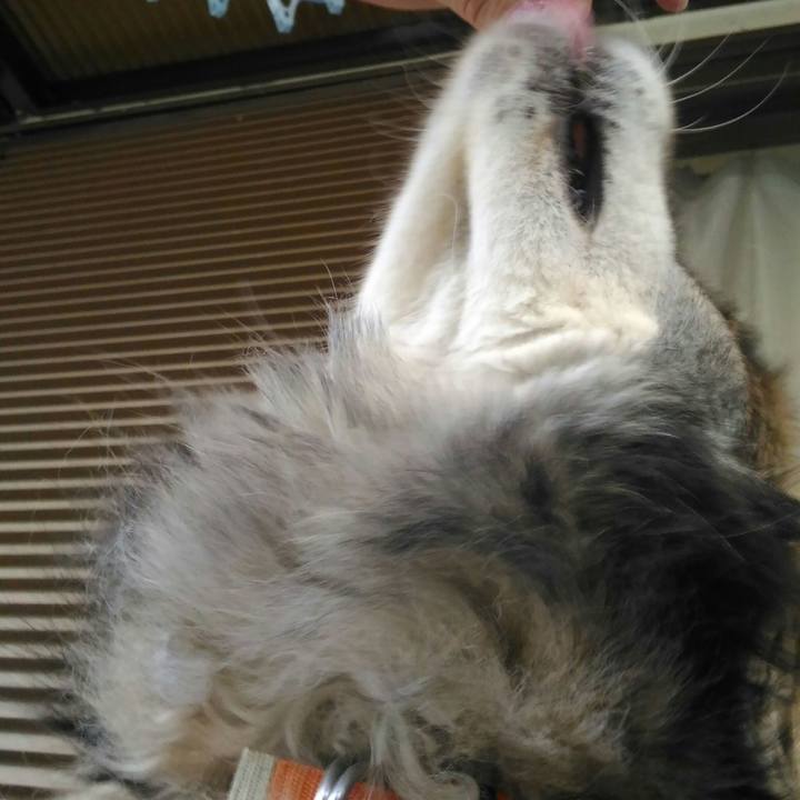 Be1eb02f b6c1 461a b735 ef7d1c293794 1562803196982