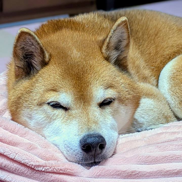 Be1ed016 e0e9 48e1 abd5 099938218d21 1769944481349