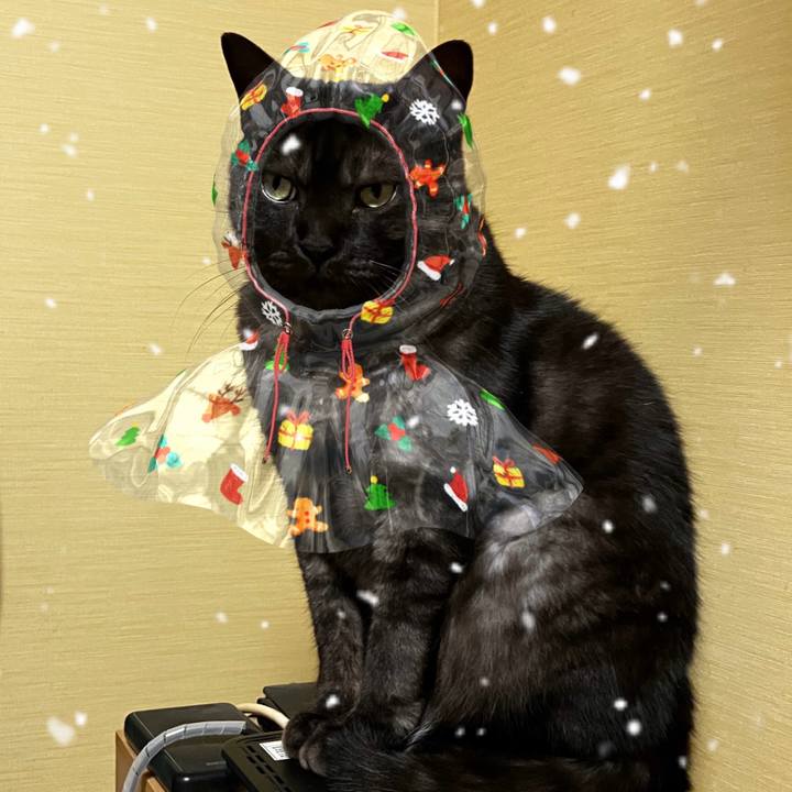 Be1f1438 d011 4dc0 90d7 23b9240b7fea 1736602737960