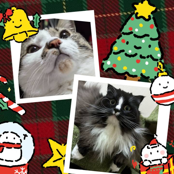 Be1f4f69 851d 4e1e 9ed1 c16419035c10 1735042097273