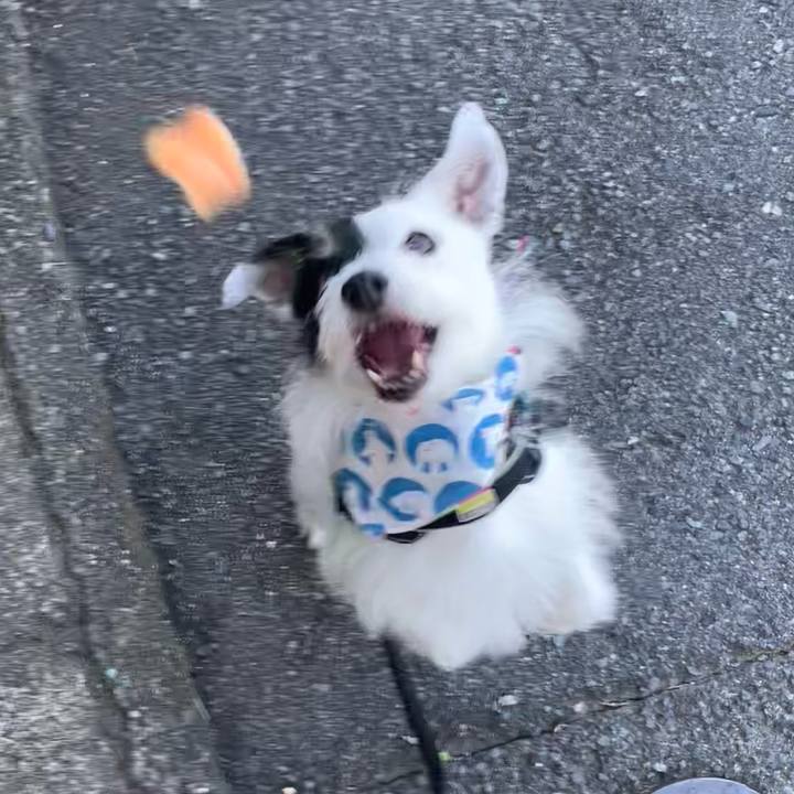 Be1f6585 9393 41de b7c4 1114577beeac 1752793684794