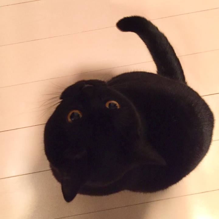 Be1f682f c73c 4648 b33f e1d100630d0d 1518696476414