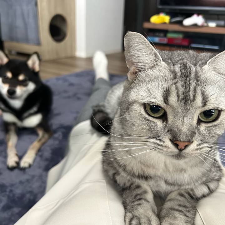 Be1f76c4 be76 42ac ad83 232d65c0a1c4 1728888102856