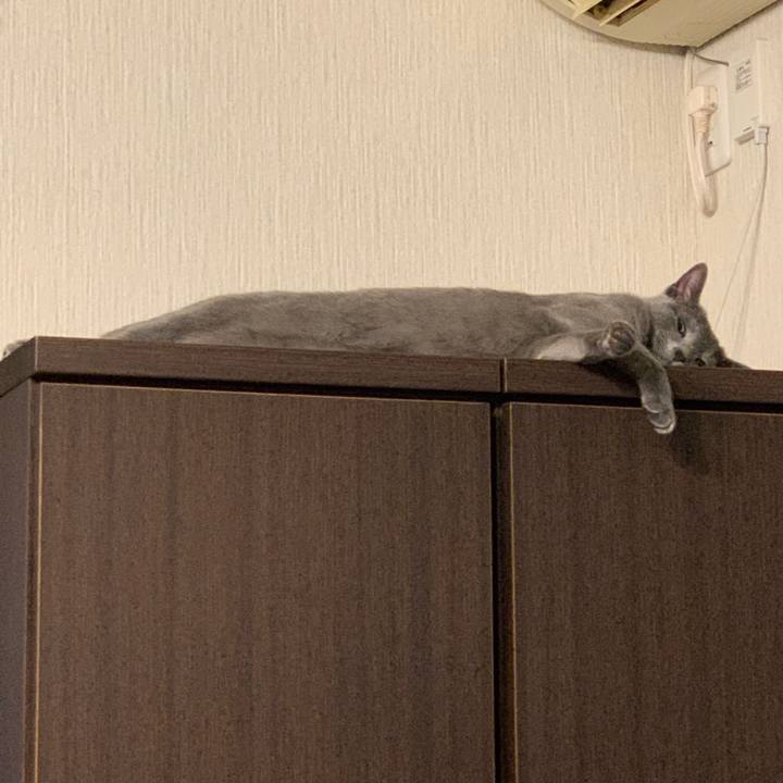 Be1f7d29 57e6 4b74 afd0 aca76f88e36d 1578258794262