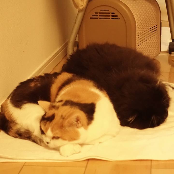 Be1f84a7 bba6 4607 a7a8 56f9f153af7a 1548600564891