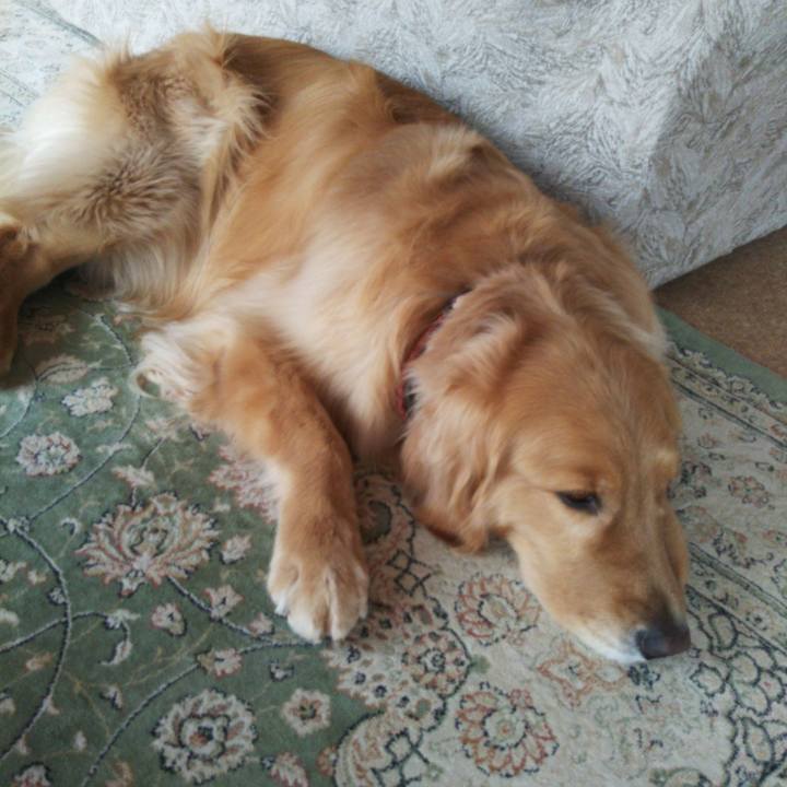 Be1f8ce3 2c43 4328 8d36 87aa8d94c51f 1515630349971