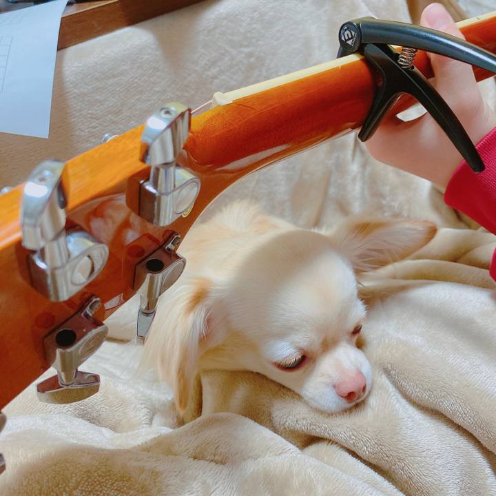 Be1fa939 ecc5 42a2 a708 ba6630b75f5e 1644111801955