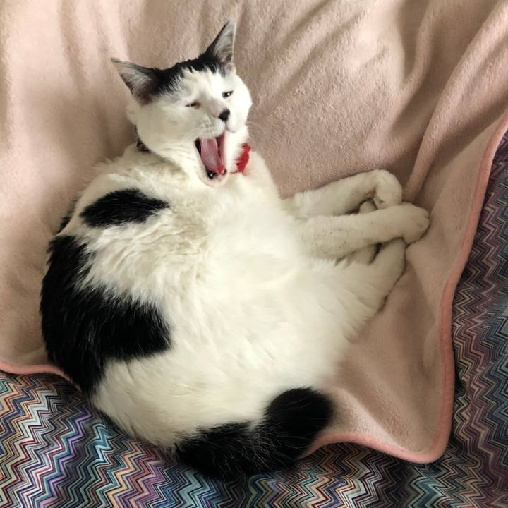 Be1fddbf c5b5 41f4 b4a7 51063c835ffe 1547508329466